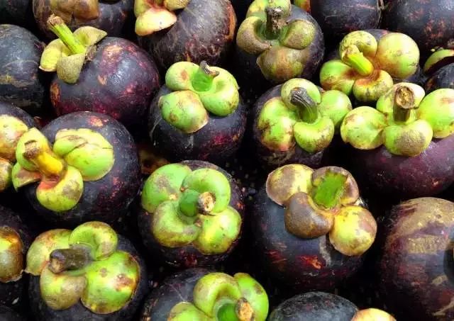 最全海南水果上市时间表,海南水果上市时间表收藏版