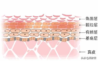 别再被所谓外油内干肤质忽悠了,适合外油内干肤质的温和护肤品
