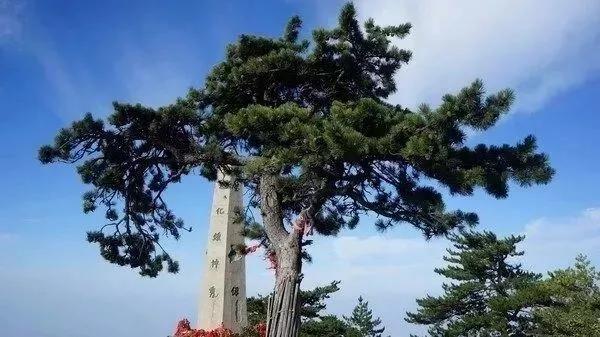 致敬抗疫英雄弘扬雷锋精神,向英雄致敬抗疫精神