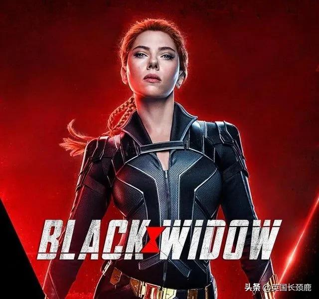 哥斯拉大战黑寡妇免费完整版,哥斯拉三大怪兽大战黑寡妇