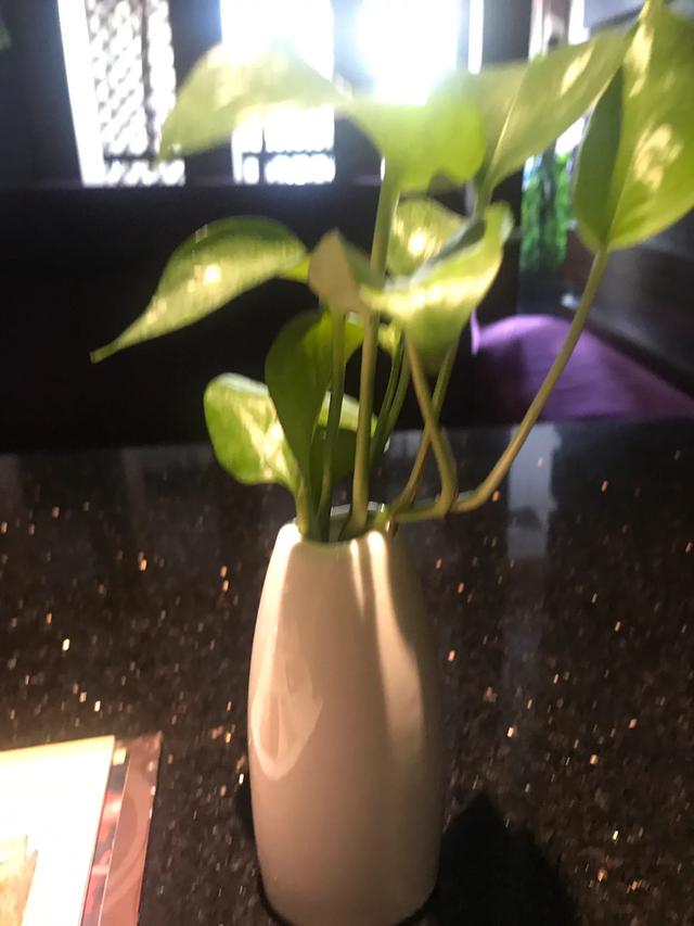 两岸咖啡新天地,两岸空间咖啡