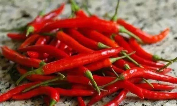全世界辣椒排行榜前十,世界上十大辣椒排行榜