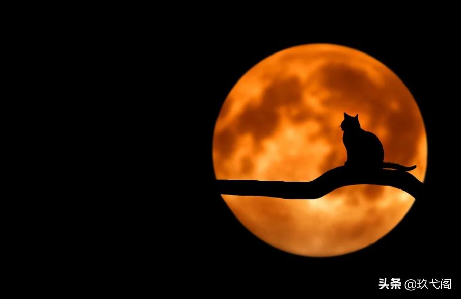 小助理离职后的感受,小助理辞职后续