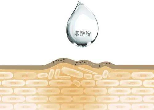 教你正确的去选择护肤品,护肤品要怎么选择才比较正确