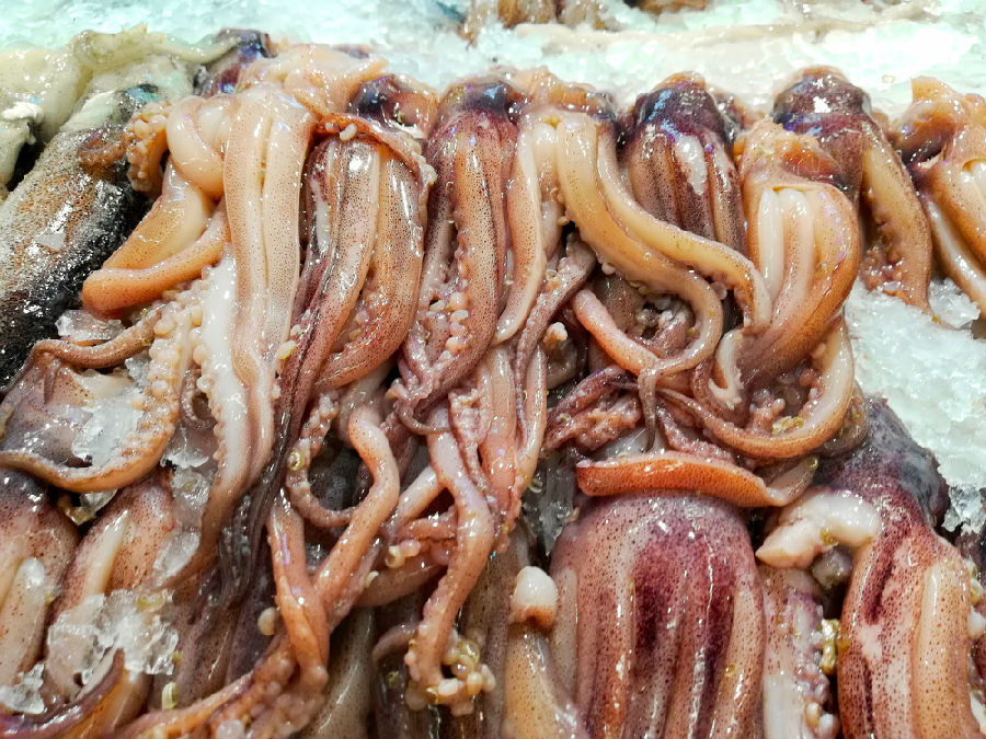 心痛的感觉！八种海鲜暂别啦