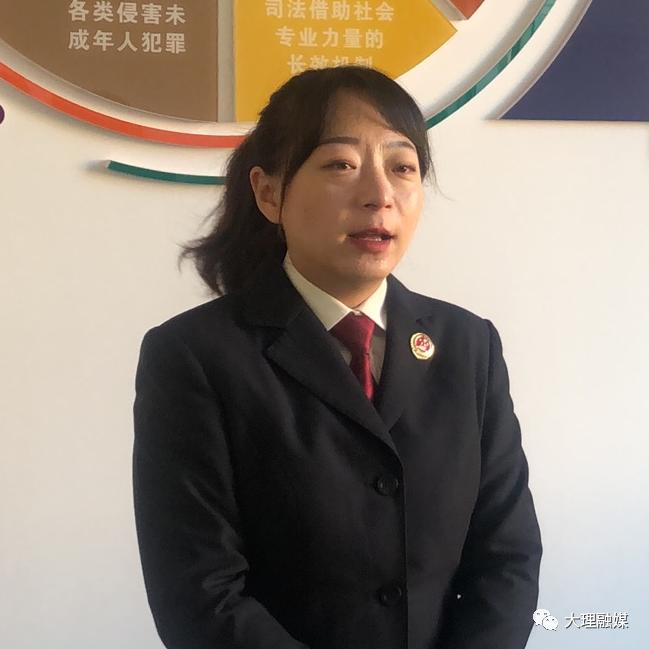 大理立法条例,大理法治社会