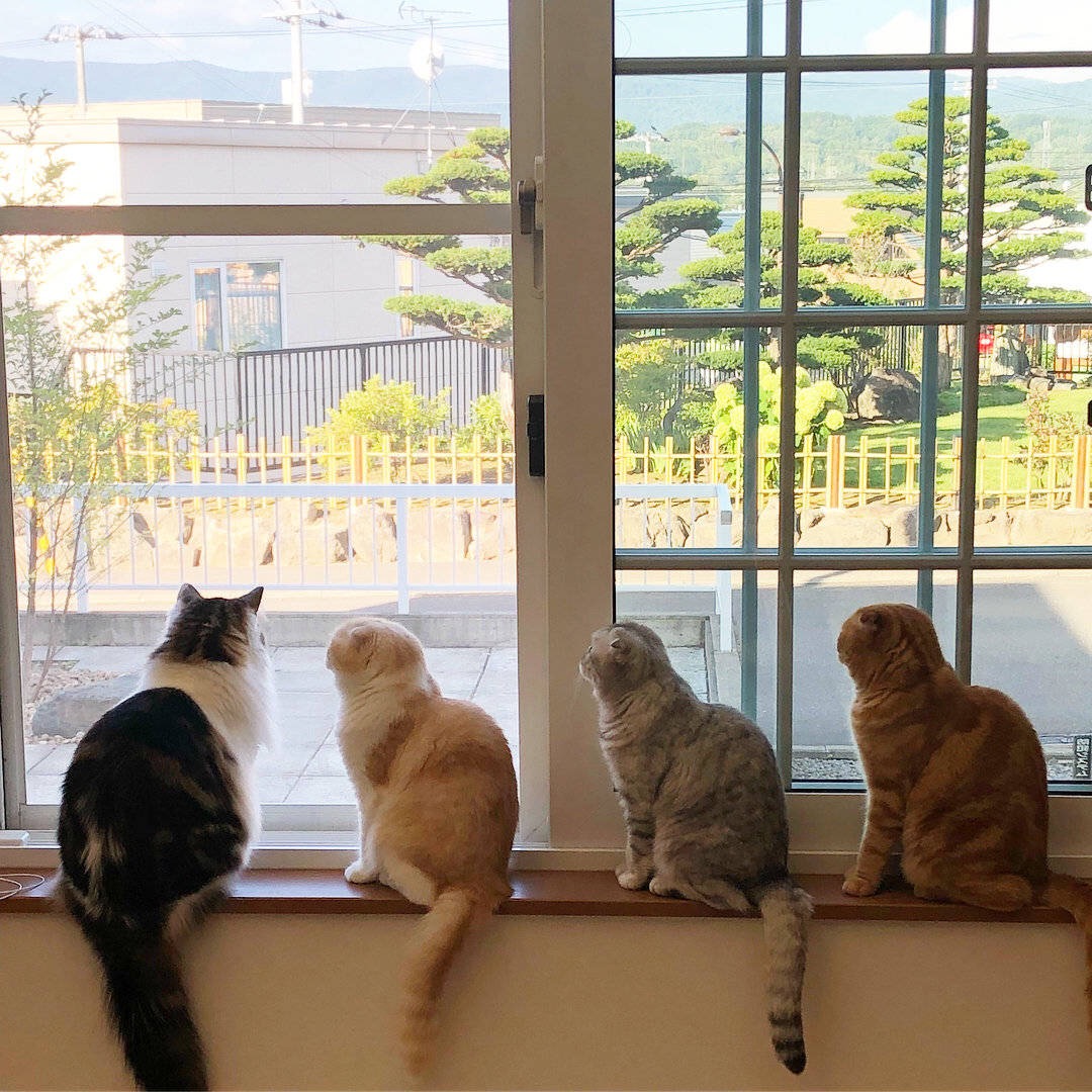 音程的性质如何确定,音程性质识别