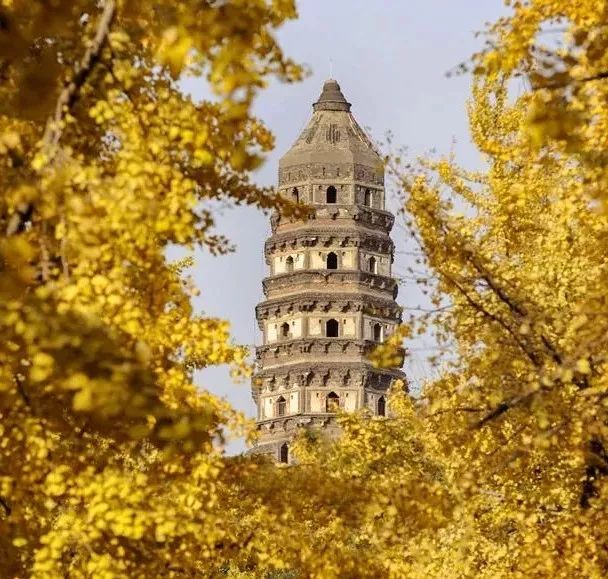 中国园林第一人，每个中国人都该谢谢他