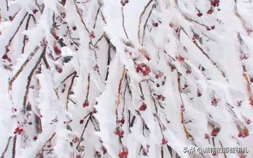 衡阳心动,衡阳南岳雾凇云海