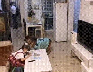 妈妈训孩子狗子护孩子,家长教育孩子对待宠物