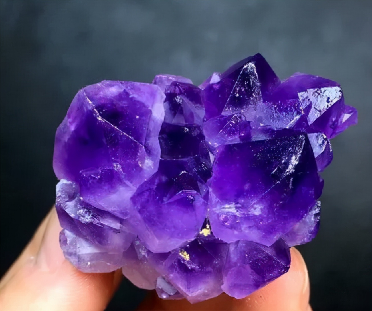 乌拉圭目前战况,乌拉圭百科简介