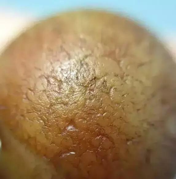 你的是不是老珠子,自己心里没点X数吗?