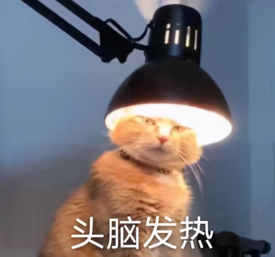 那些选到冷门专业的最后怎么样了,美国留学生选错专业的后果