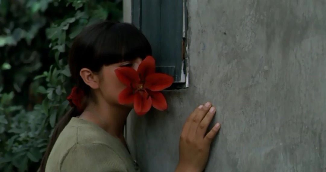 重口味!超大胆!观众被这部电影给骗了…