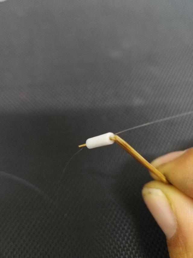 钓鱼专钓小鱼,世界钓鱼之旅钓大鱼