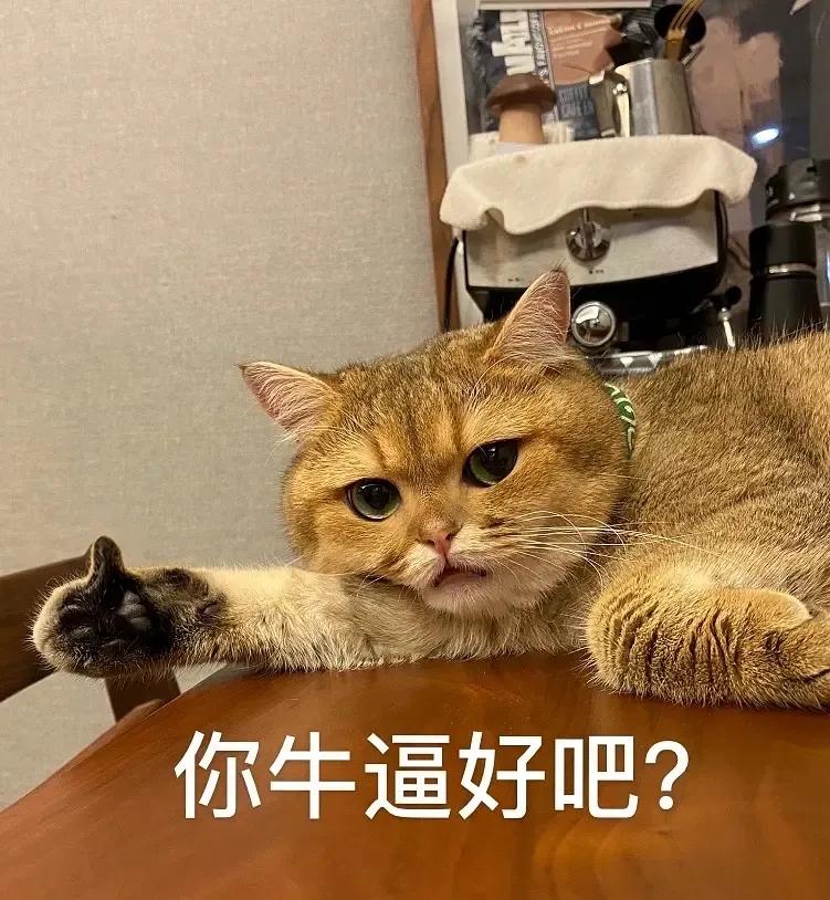 不需要头发的简单扎法,别总是扎马尾这5款编发美到极致