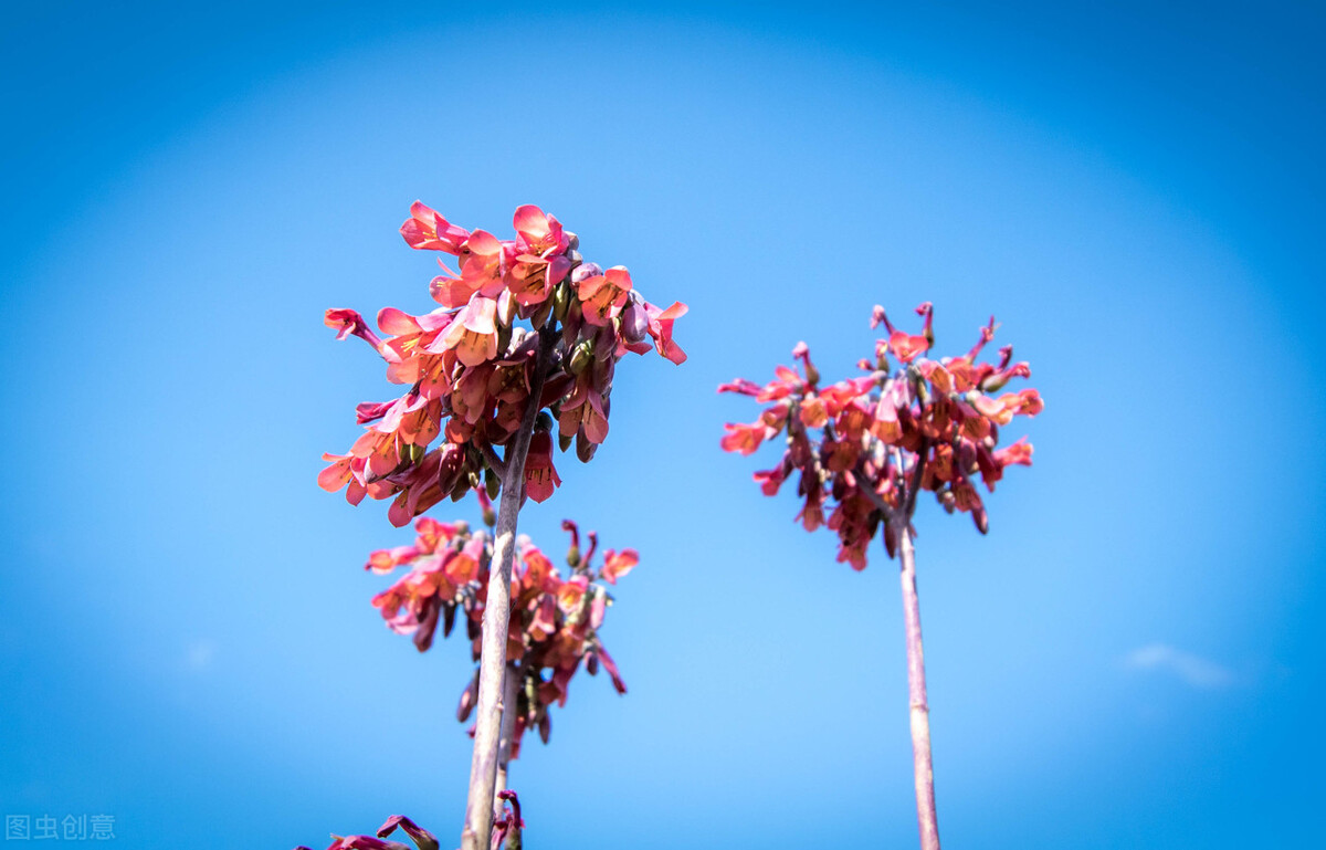 a鑲″巻鍙插ぇ鐖嗛浄,a鑲¤繎鍗冭偂璺屽仠瑙佽瘉鍘嗗彶浣曟椂瑙佸簳