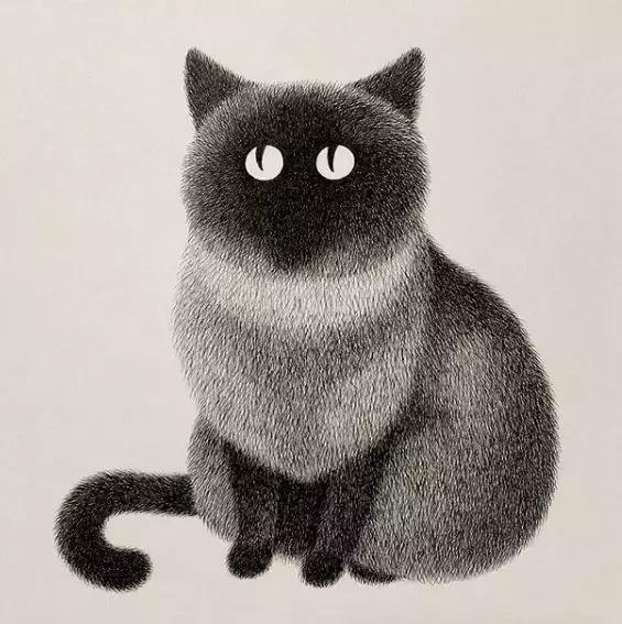 她用2元针管笔作画便惊艳了世界,他用粉笔画了一只猫