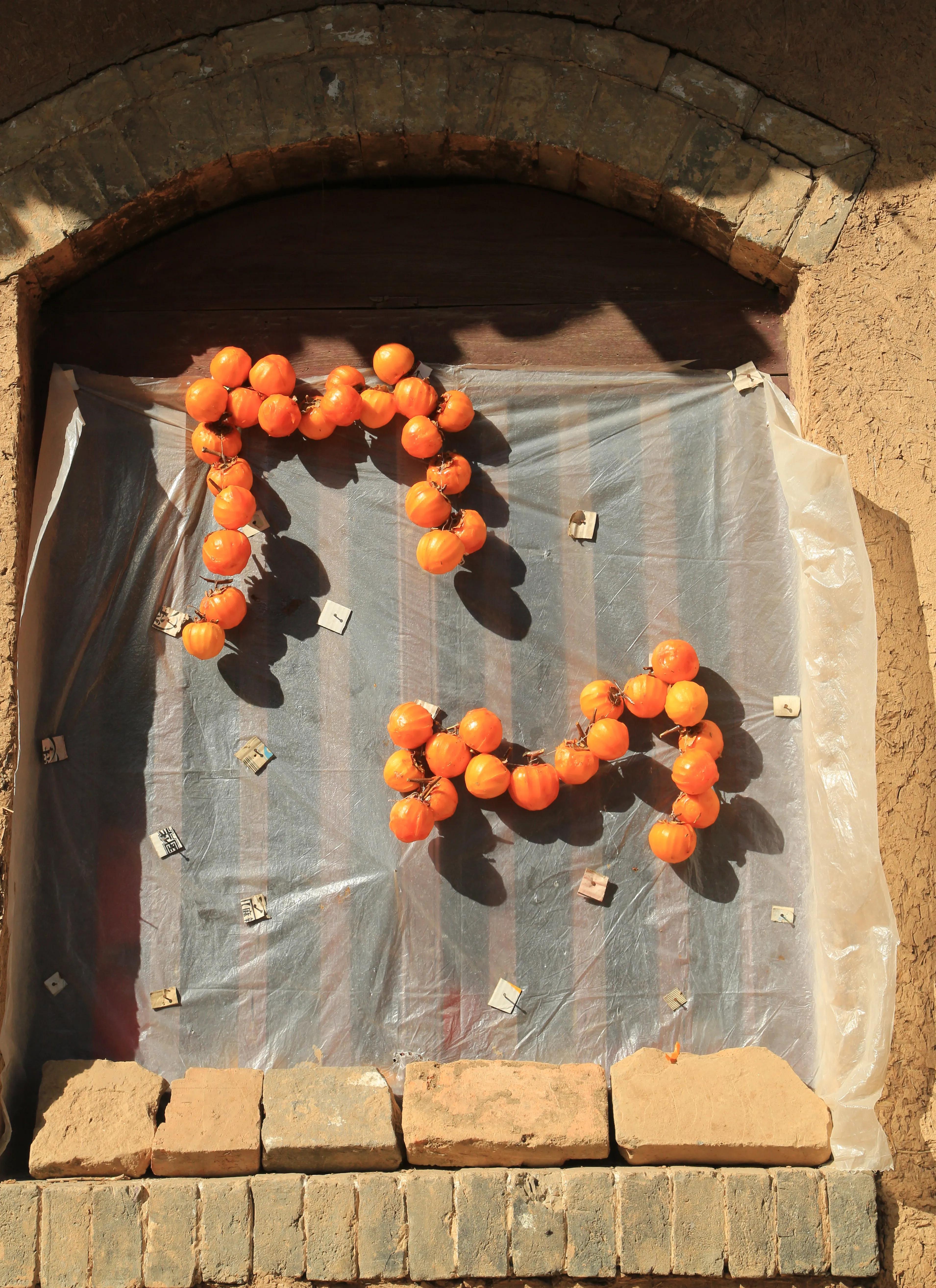 渭南市临渭区：长寿原上一滴醋（组图）