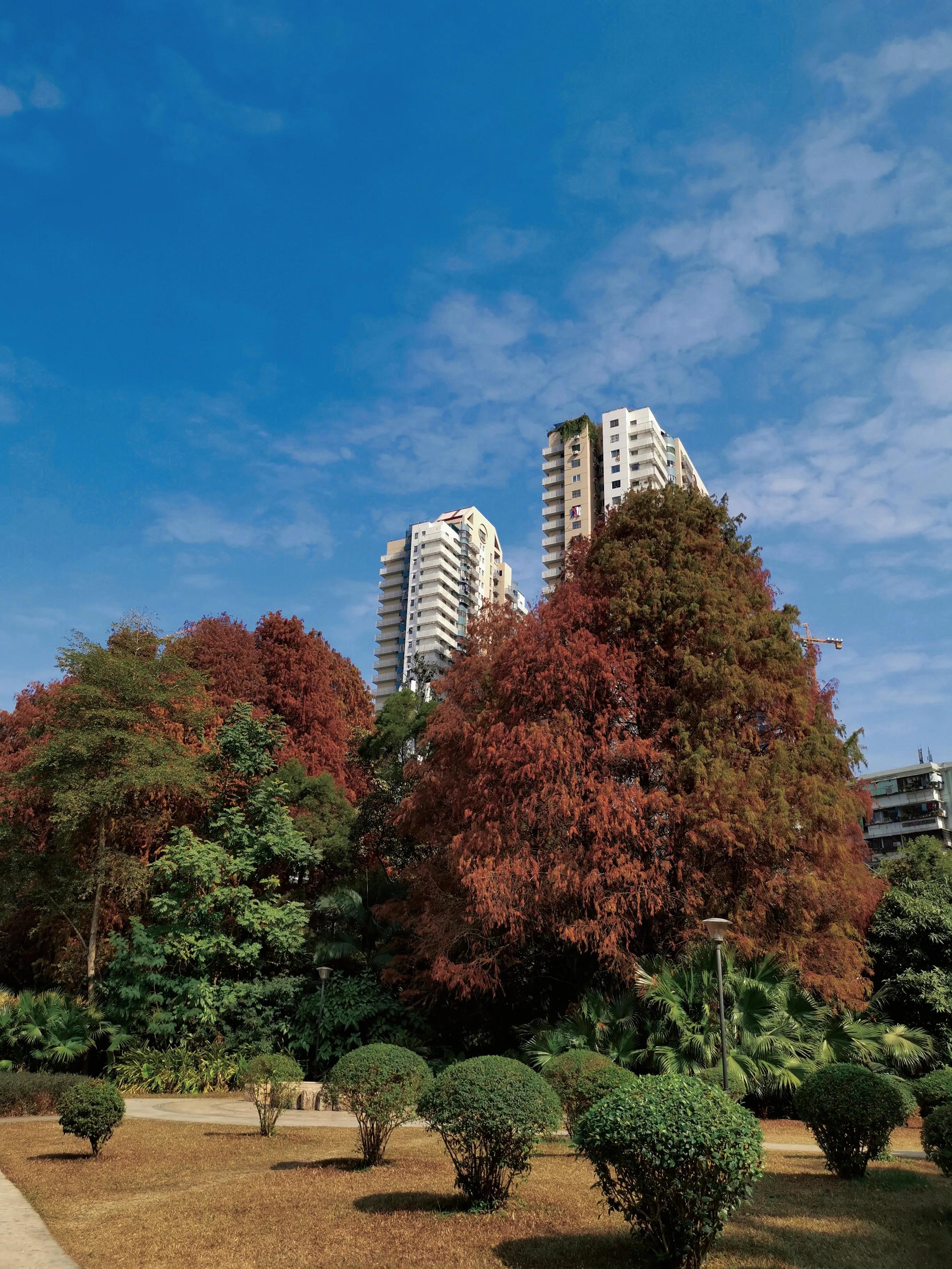 深圳洪湖公园近日的网红打卡地,深圳洪湖公园推荐