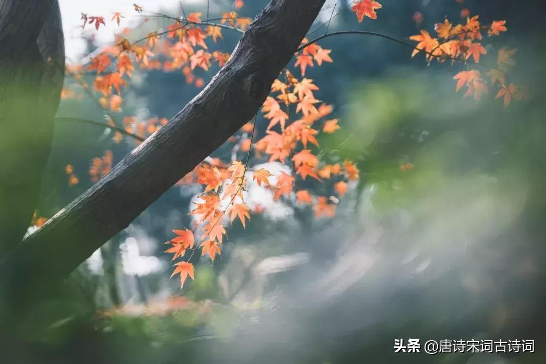 人生感悟的古诗励志句子,励志人生短句古诗