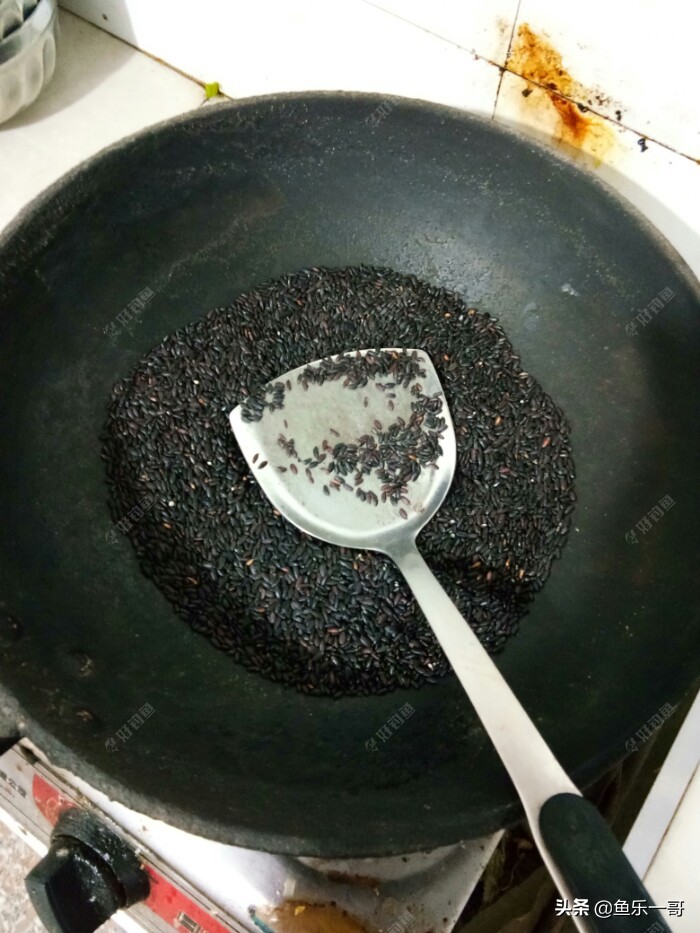 冬季黑米窝料野钓专用,钓鱼黑米打窝