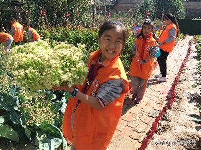 彰显学校育人特色和文化氛围,彰显校园文化育人功能