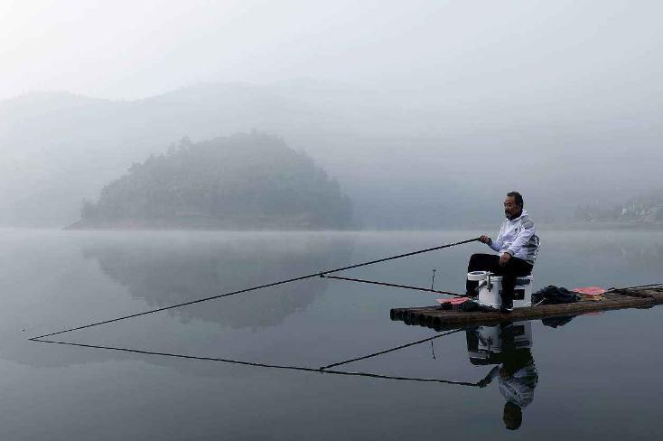 鲢鳙闹窝是什么表现,鲢鳙闹窝
