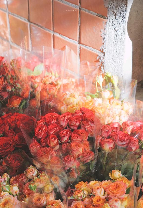 一切强求不来顺其自然,自己的心灵顺其自然不可强求