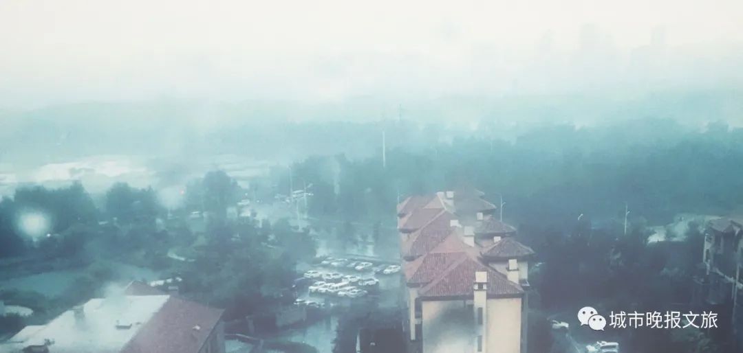 城晚拍拍丨落日余晖