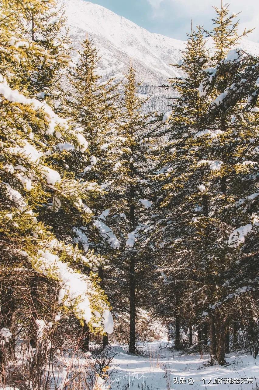 忽然想去自驾游了,想去川西看星空