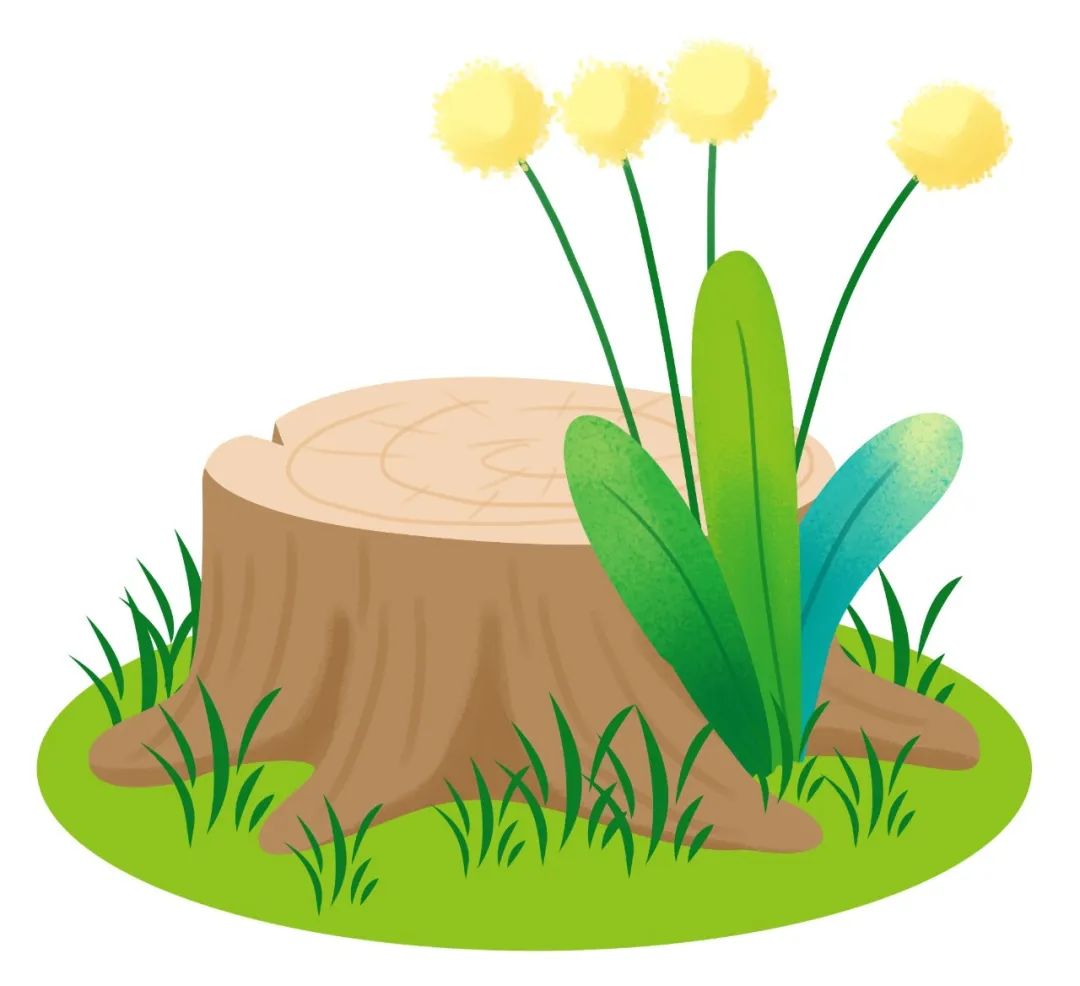 脾胃虚寒一吃凉的就拉肚子怎么办,一吃凉的就拉肚子健脾药有哪些