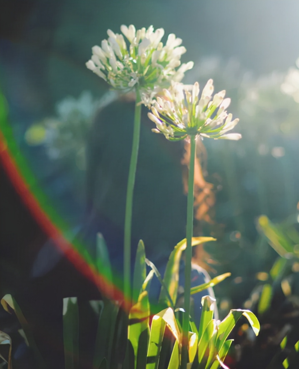 最经典的自嘲诗句,句句戳心的自嘲诗句