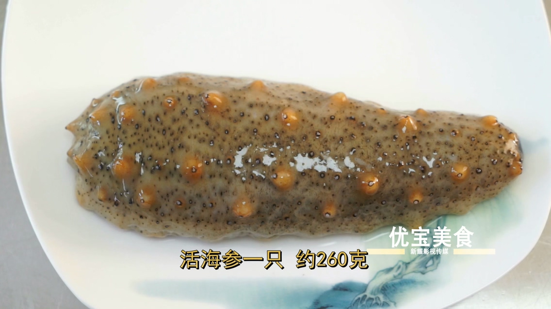 海参做熟嚼不动怎么办,活海参如何制作好吃