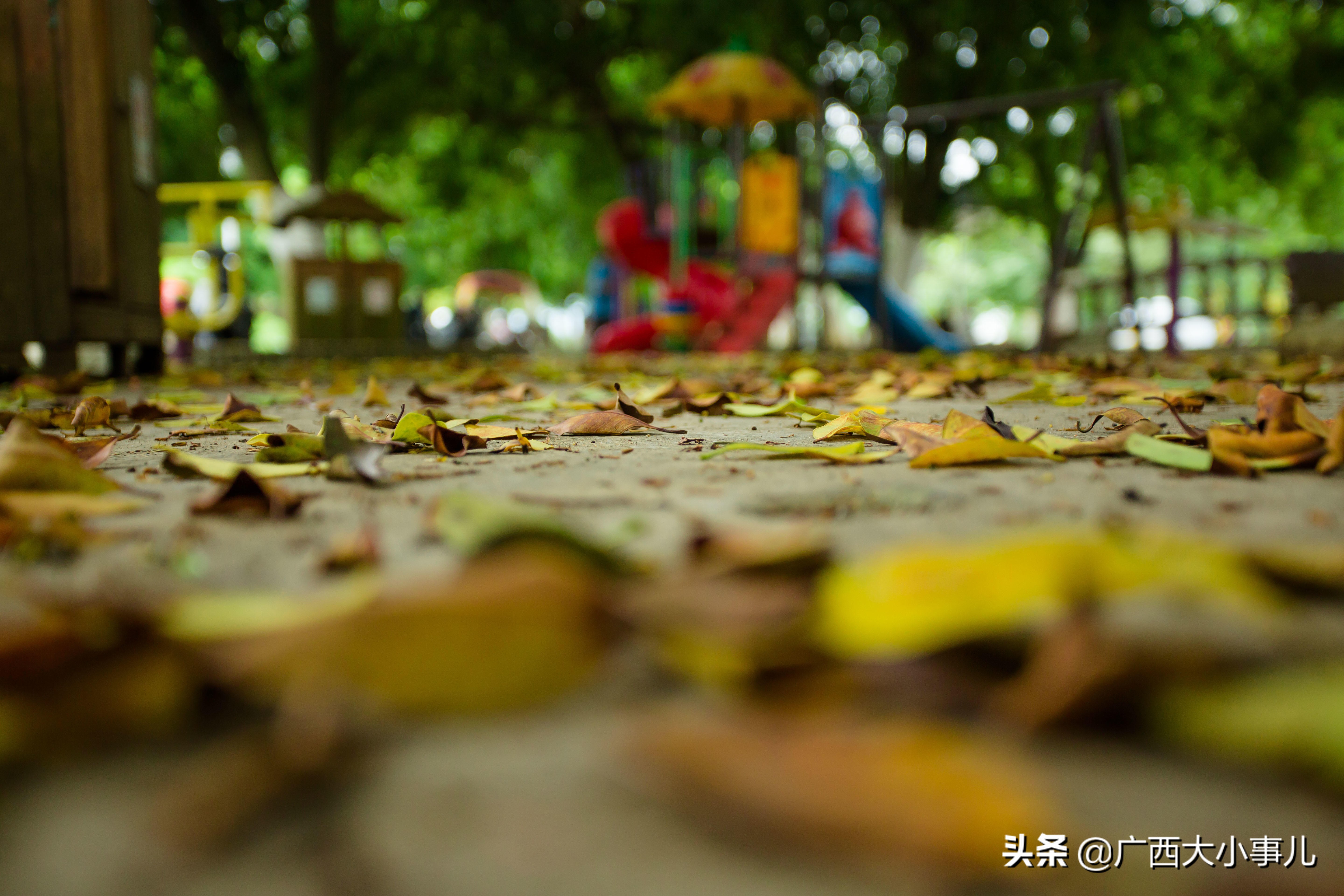 遇见别样的风景,上林风景一日游