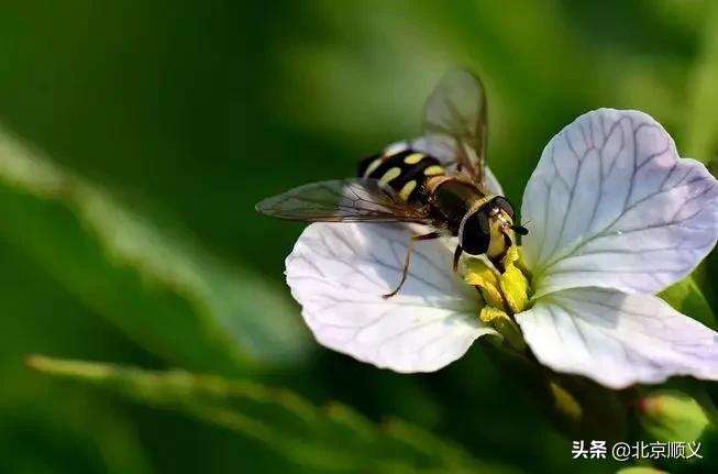 今日立春愿所有美好如期而至,今日立春愿一切美好随春而至