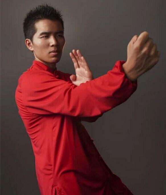 武术大师评价叶问,叶问咏春拳真实实力