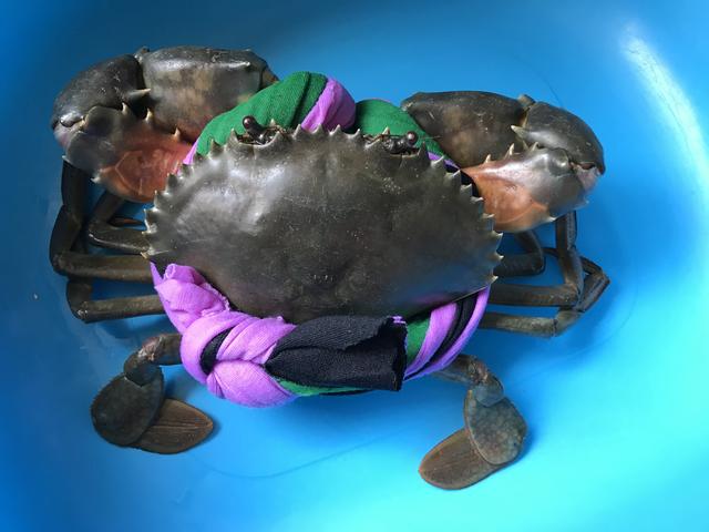 买螃蟹是大的好还是小的好,螃蟹一次买几斤比较好