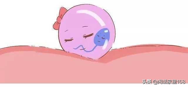 不成熟的精子会与卵子结合吗,不成熟的精子会和卵子结合吗