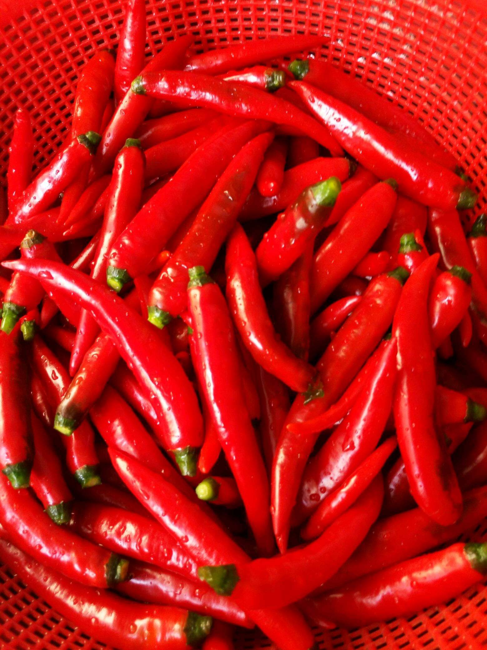 泰国菜冬阴功配料,泰国菜主要的配料