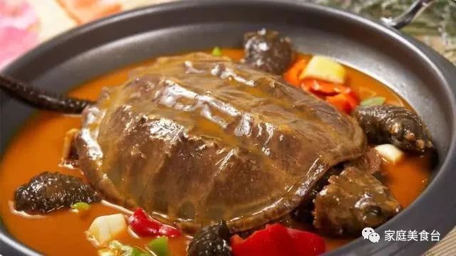 为什么人们不吃乌龟喜欢吃甲鱼,冷知识为什么不吃乌龟只吃甲鱼