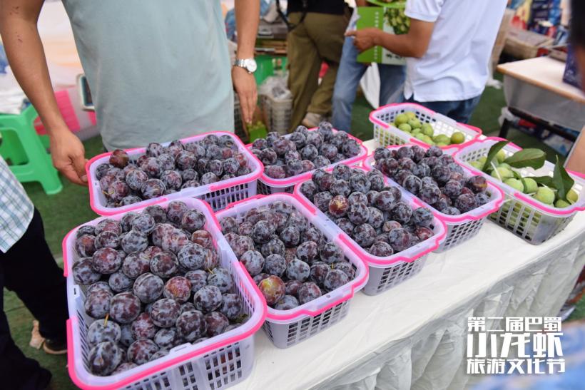 巴蜀文化旅游节,第二届柑橘旅游文化节