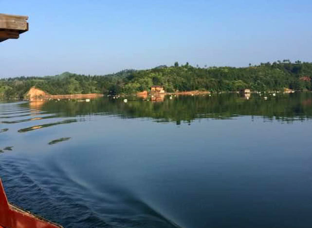 鲜嫩入味的清蒸鱼,肉质紧实的清蒸鱼有哪些