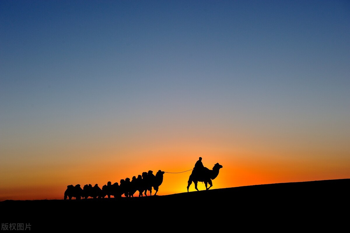 超级中央企业,内蒙古乌海龙头企业