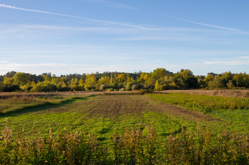 高情商的回绝方法,再巧妙的圆滑都敌不过真诚