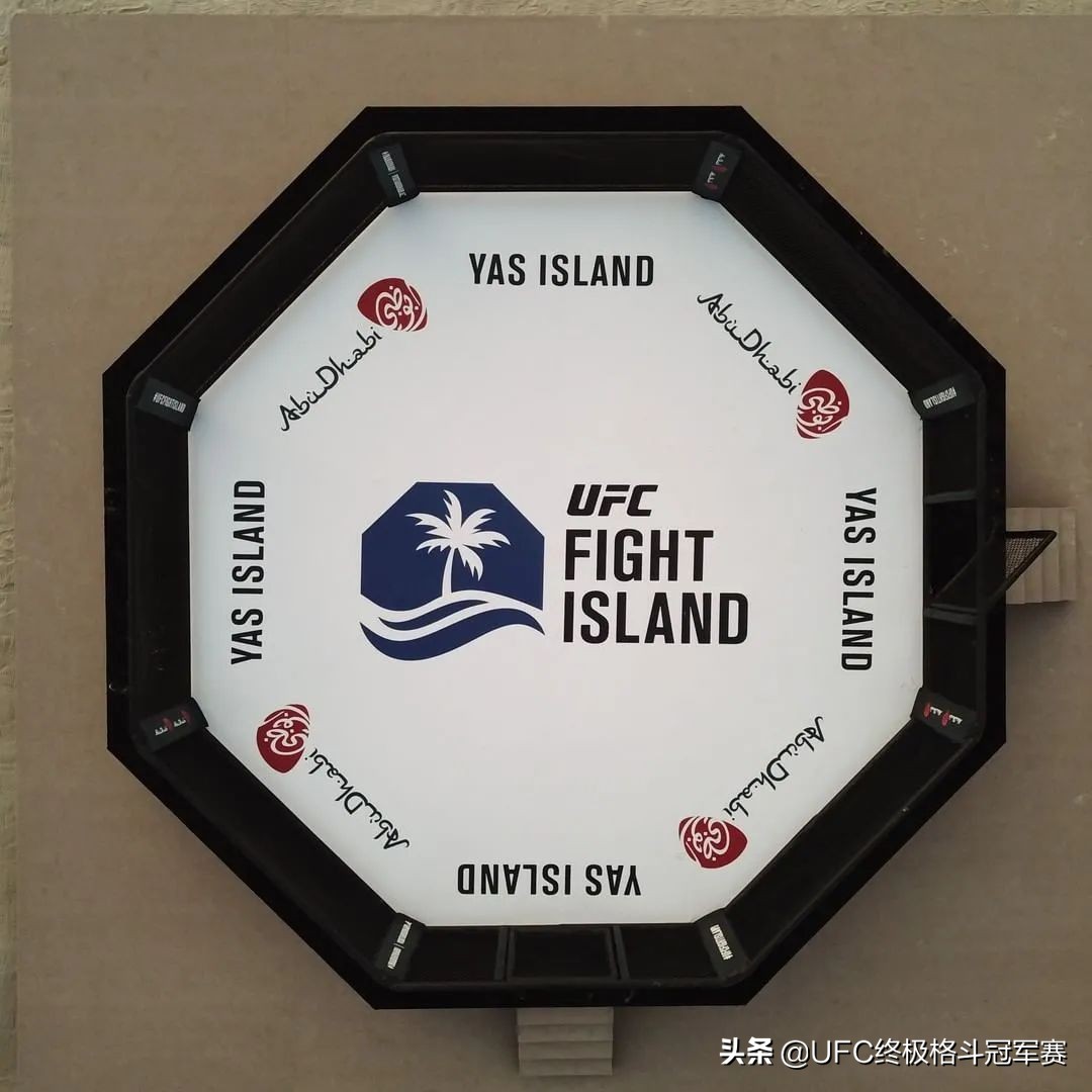 八角笼中最终决战,八角笼十大悬念视频