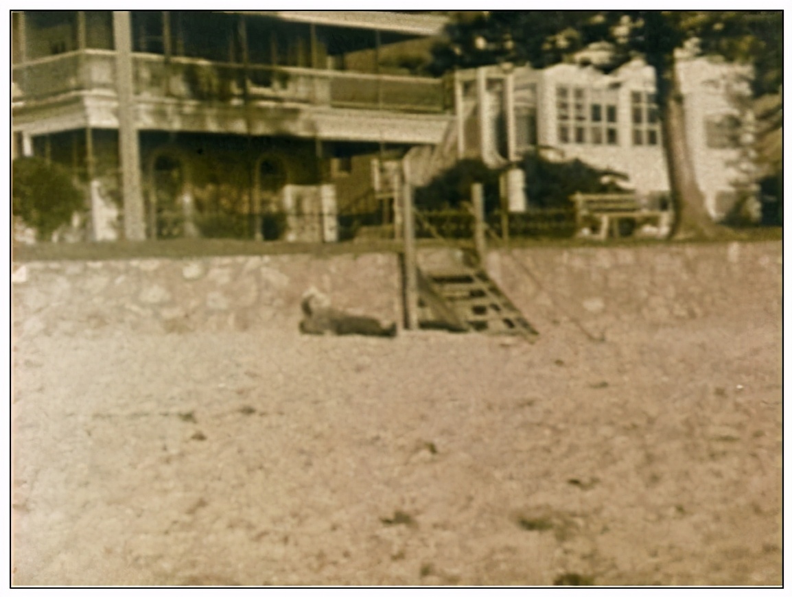 澳大利亚1948年未解悬案,西装男离奇躺在沙滩上,可疑护士被吓晕