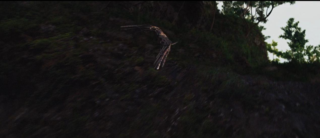 铁血战士系列解析,铁血战士形态全部解析