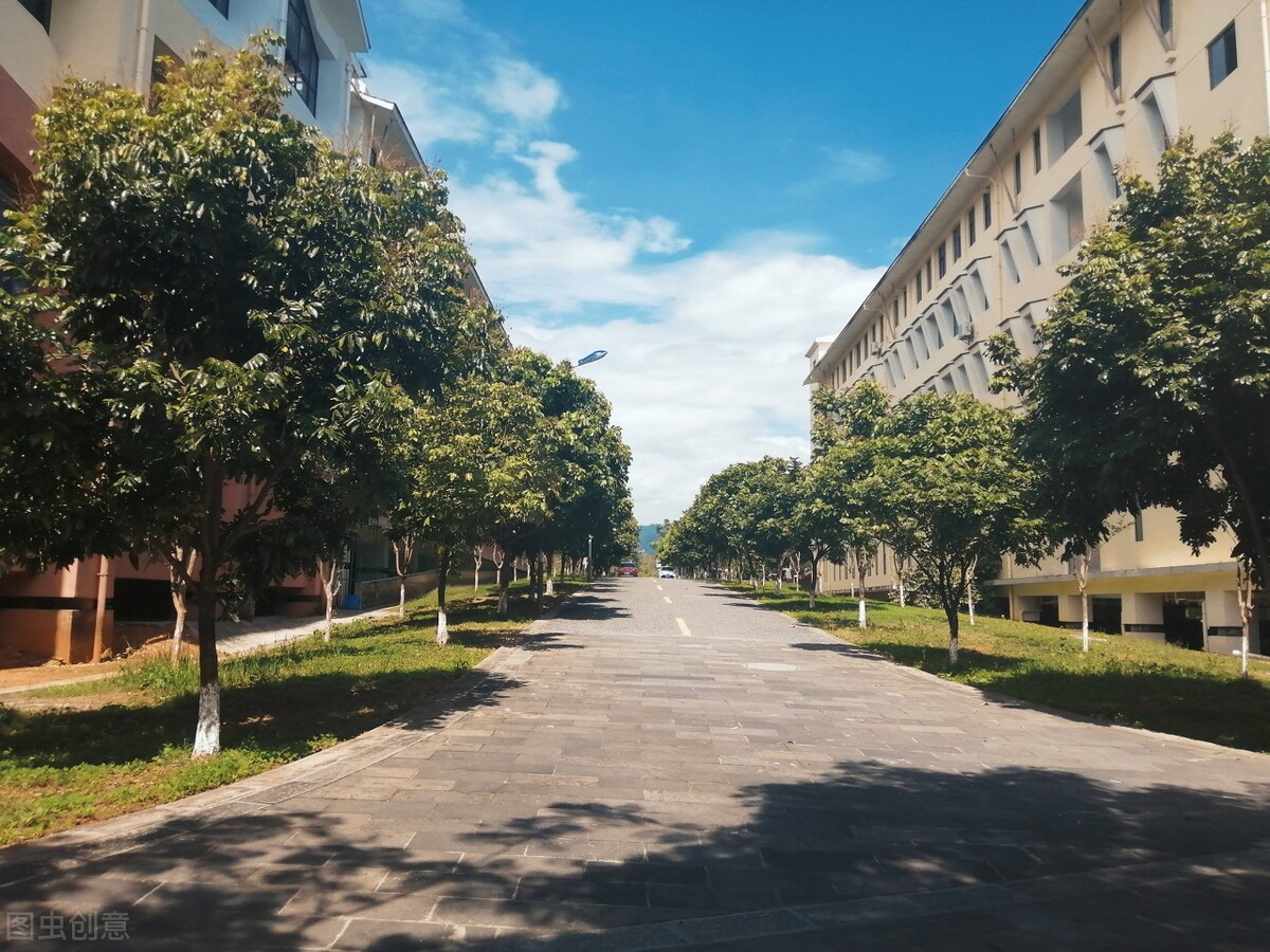 高等专科学校和职业学院区别,高等专科和高等职业技术学校区别