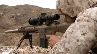 精度80%的步枪,88式高精度狙击步枪